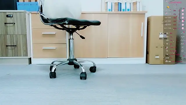 tt50256 – Kamerová šou