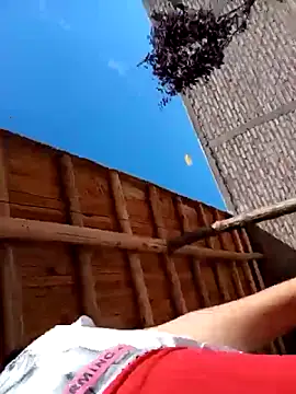 Chat XXX en directo de StefyStar_Sexy