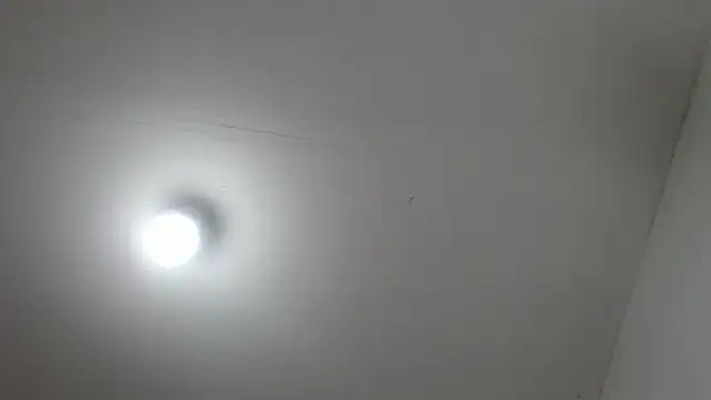 chirlleyy's Live XXX Chat