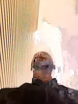 Pertunjukan Kamera Web Camodick