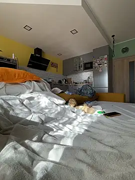 Show webcam de smint06