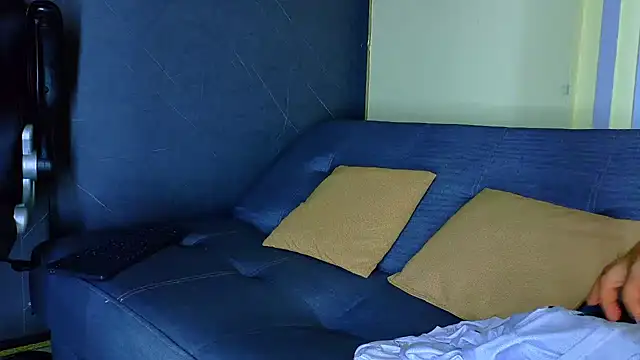 Show webcam de ALANNFERRER