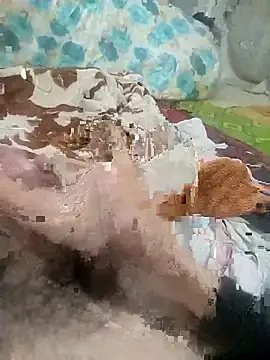 naghmi12 Webcam Show