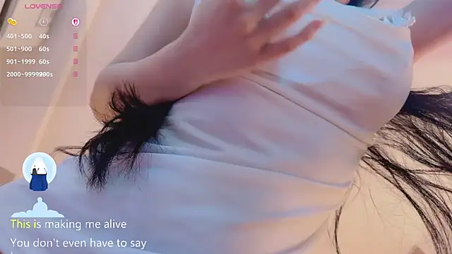 Vaidurya-Yolo Adlı Modelin Web Kamerası Şovu