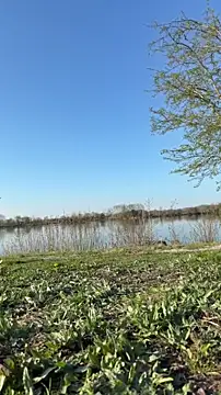 Chat XXX Live Dance_Lady