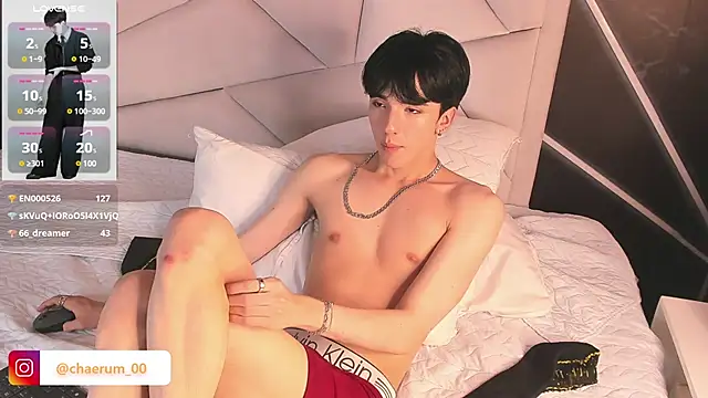 AerumChae 网络视讯表演