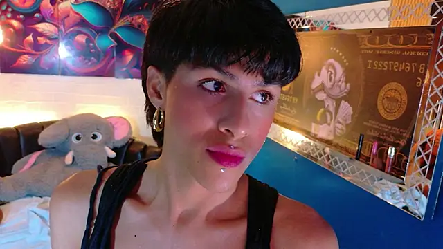 Evans_Robinson – Kamerová šou