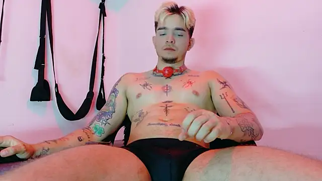 AliceandMaxn Webbikameraesitys