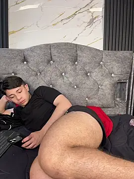 Noah-ledomn Webbikameraesitys