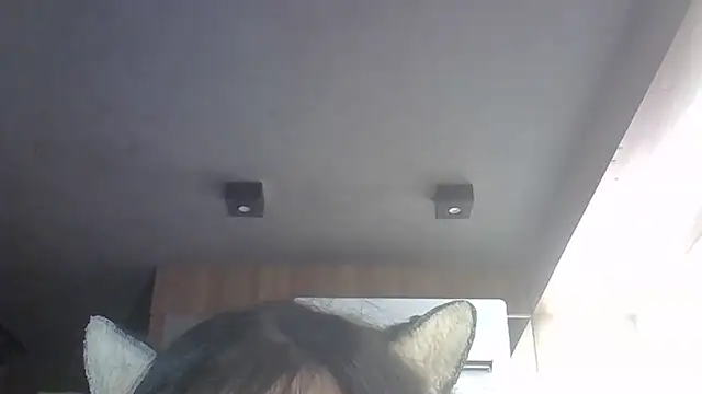 Show de SkinnyKitten na webcam