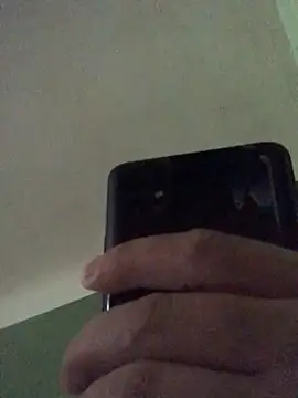 Show webcam de Odecca11