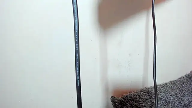 ZeusBrant Webcam show