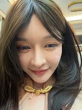 BBi-0329 Webcam show