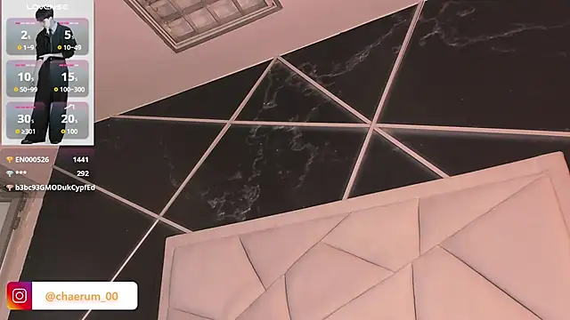 AerumChae 网络视讯表演