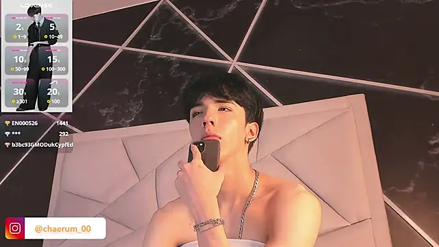 AerumChae 网络视讯表演