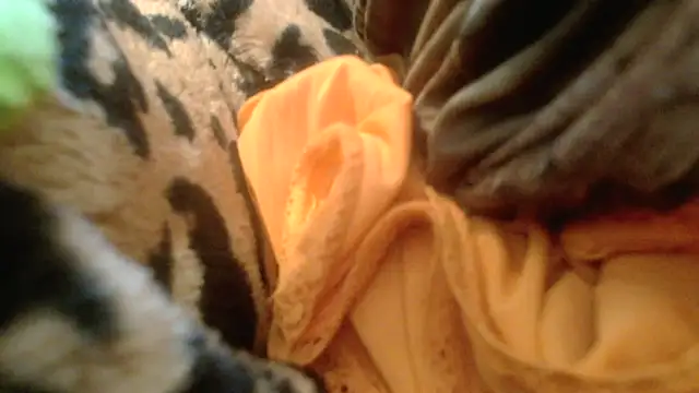 Show webcam de rockhead1971