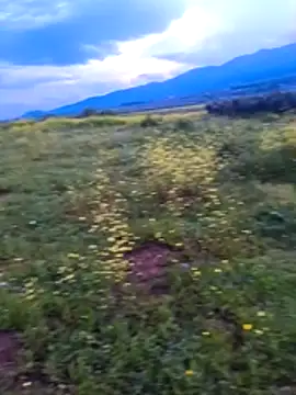 Severimmsenin Webbikameraesitys