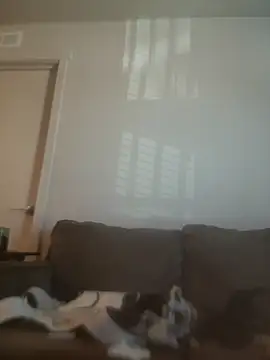 yourMasterisBored: διαδικτυακό σόου στην κάμερα