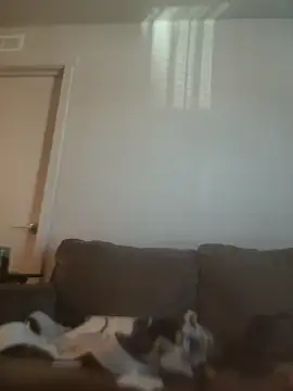 Вебкам-шоу yourMasterisBored