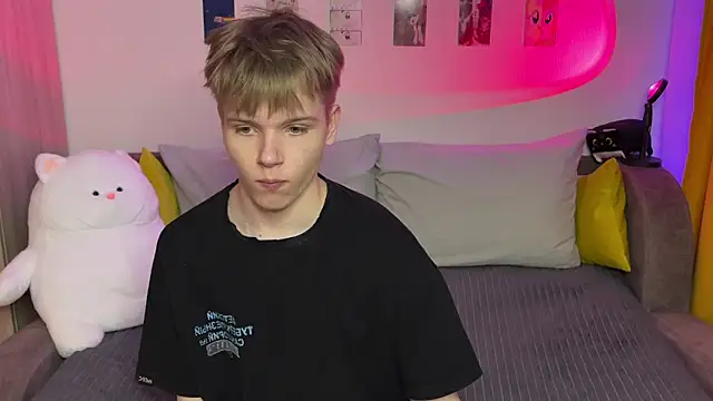 Вебкам-шоу metarion