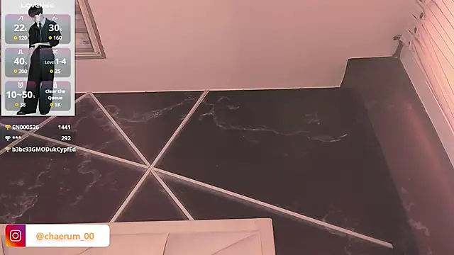 AerumChae 웹캠 쇼