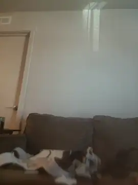 yourMasterisBoredn Webbikameraesitys