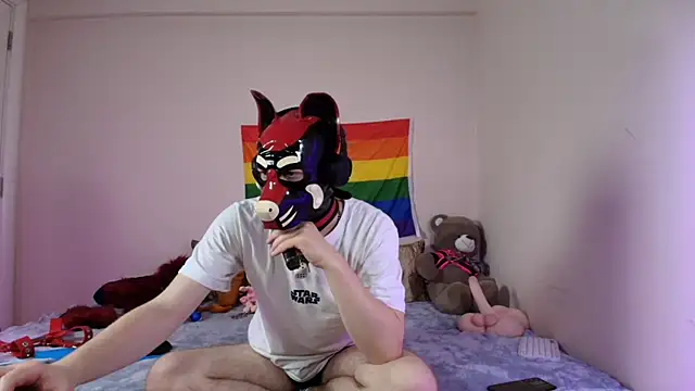 K9_GoodBoy: διαδικτυακό σόου στην κάμερα