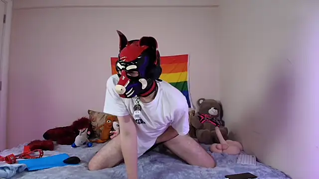 K9_GoodBoy 웹캠 쇼