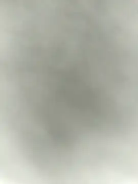 Necroforo Show in webcam