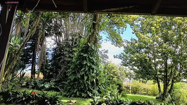 DilanAndres: онлайн-секс-чат