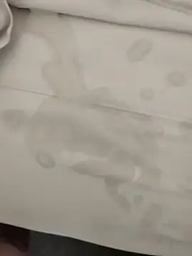 Show de ponedordeperras na webcam