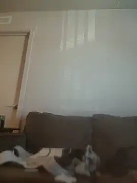 yourMasterisBored Show Webcam