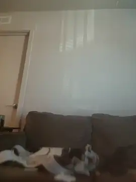 yourMasterisBored Live XXX-chat