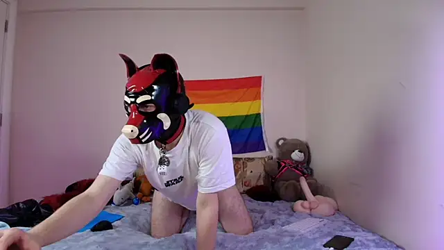 K9_GoodBoy webkamerás műsora