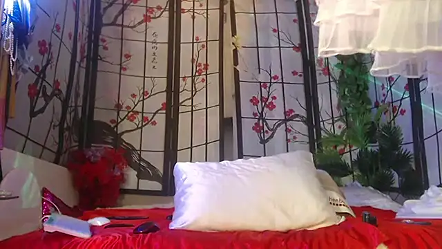 NightOrhideya Show in webcam