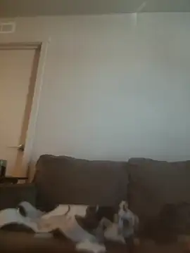 yourMasterisBoredのライブXXXチャット