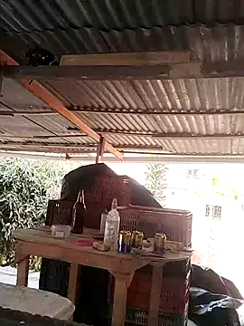 hoteder élő XXX-chatje