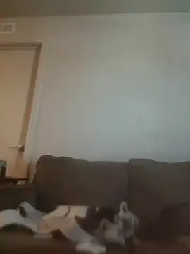 Show Webcam de yourMasterisBored