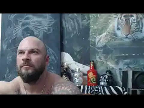 Show webcam de viking_30