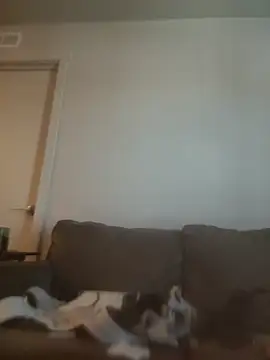 Show de webcam de yourMasterisBored