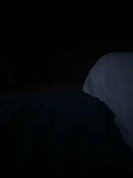 Jdlelyn Webbikameraesitys