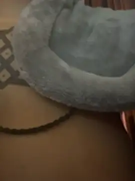 Živý XXX chat nickytheehawtie