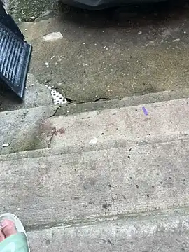 Czat XXX na żywo – Lc23456