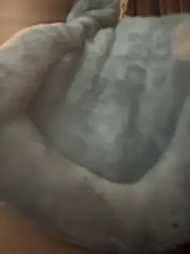 nickytheehawtie live XXX chat