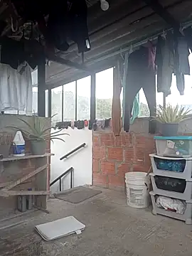 Fernandar2025 Live XXX-chat