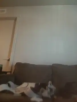 yourMasterisBored webcam show