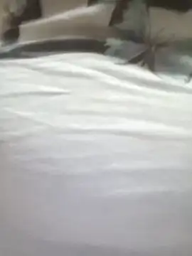 zeepe19's Live XXX Chat