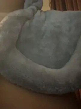 Онлайн чат XXX nickytheehawtie