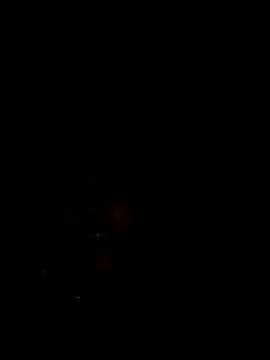 TropicalFlower Chat XXX live