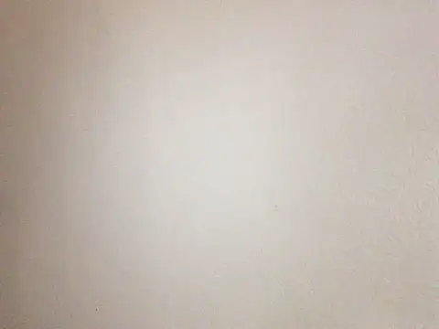 littyleesh1's Webcam Show